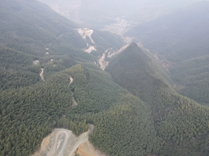 占全省比例近20%！青田全年完成51公里路林共建項目